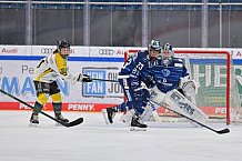 Eishockey, Frauen, DFEL, Saison 2021-2022, ERC Ingolstadt - Mad Dogs Mannheim, 23.10.2021