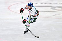 Eishockey, Herren, DEL, Saison 2025-2026, Spiel 19, ERC Ingolstadt - Augsburger Panther, 16.11.2025