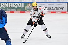 Eishockey, Herren, DEL, Saison 2024-2025, Spieltag 14, ERC Ingolstadt - Löwen Frankfurt, 31.10.2024