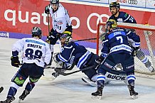 ERC Ingolstadt vs Eisbaeren Berlin am 22.02.2019, Spieltag 49