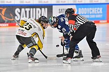Eishockey, Frauen, DFEL, Saison 2021-2022, ERC Ingolstadt - Mad Dogs Mannheim, 24.10.2021