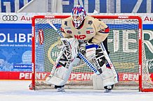 Eishockey, Herren, DEL, Saison 2024-2025, Playoffs Viertelfinale, Spiel 5, ERC Ingolstadt - Nürnberg Ice Tigers, 26.03.2025