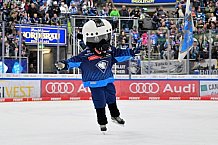 Eishockey, Herren, DEL, Saison 2024-2025, Spieltag 36, ERC Ingolstadt - Kölner Haie, 12.01.2025