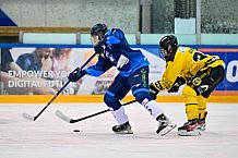 Eishockey, Herren, U20 DNL, Saison 2025-2026, Halbfinale - Spiel 5, ERC Ingolstadt - Krefelder EV 81, 24.03.2026