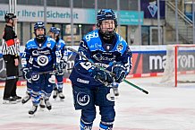 Eishockey, Frauen, DFEL, Saison 2025-2026, ERC Ingolstadt - Eisbären Berlin, 18.01.2026