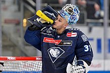 Eishockey, Herren, DEL, Saison 2024-2025, Spieltag 49, ERC Ingolstadt - Straubing Tigers, 28.02.2025
