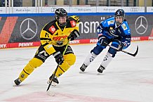 Eishockey, Herren, U20 DNL, Saison 2025-2026, ERC Ingolstadt - Krefeld Pinguine, 10.01.2026