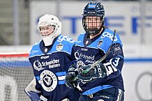 Eishockey, Frauen, DFEL, Saison 2025-2026, Testspiel, ERC Ingolstadt - HC Davos, 14.02.2026