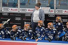 Eishockey, Frauen, DFEL, Saison 2024-2025, ERC Ingolstadt - Eisbären Berlin, 15.02.2025