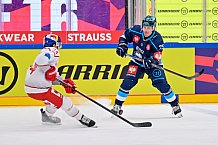 Hockey, Mens, CHL, Season 2025-2026, Regular Season, Round of 16, ERC Ingolstadt - EC Red Bull Salzburg, 12.11.2025
