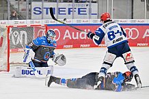 Eishockey, Herren, DEL, Saison 2023-2024, Spieltag 40, ERC Ingolstadt - Schwenninger Wild Wings, 21.01.2024