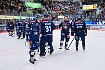 Eishockey, Herren, DEL, Saison 2024-2025, Spieltag 19, ERC Ingolstadt - Grizzlys Wolfsburg, 24.11.2024