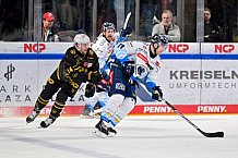 Eishockey, Herren, DEL, Saison 2024-2025, Playoffs Viertelfinale, Spiel 1, Nürnberg Ice Tigers - ERC Ingolstadt, 18.03.2025