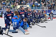 Eishockey, Herren, DEL, Saison 2024-2025, Spieltag 19, ERC Ingolstadt - Grizzlys Wolfsburg, 24.11.2024