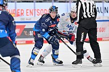 Eishockey, Herren, DEL, Saison 2024-2025, Spieltag 32, ERC Ingolstadt - Adler Mannheim, 30.12.2024