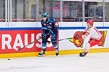 Hockey, Mens, CHL, Season 2025-2026, Regular Season, Game Day 6, ERC Ingolstadt - Odense Bulldogs, 15.10.2025