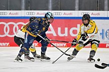Eishockey, Frauen, DFEL, Saison 2022-2023, ERC Ingolstadt - Mad Dogs Mannheim, 19.11.2022