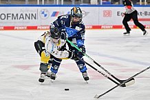 Eishockey, Frauen, DFEL, Saison 2023-2024, ERC Ingolstadt - Mad Dogs Mannheim, 18.02.2024