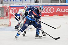 Eishockey, Herren, DEL, Saison 2024-2025, Spieltag 12, ERC Ingolstadt - Eisbären Berlin, 24.10.2024