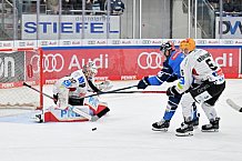 Eishockey, Herren, DEL, Saison 2023-2024, Spieltag 45, ERC Ingolstadt - Fischtown Pinguins, 27.02.2024