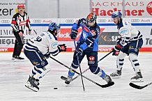 Eishockey, Herren, DEL, Saison 2023-2024, Spieltag 21, ERC Ingolstadt - Iserlohn Roosters, 23.11.2023