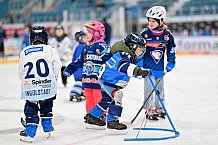 Eishockey, Saison 2025-2026, ERC Ingolstadt - Kids On Ice Day, 29.11.2025