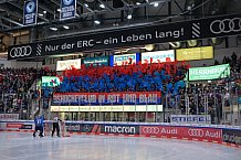 Eishockey, Herren, DEL, Saison 2023-2024, Spieltag 52, ERC Ingolstadt - Nürnberg Ice Tigers, 08.03.2024