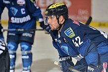 ERC Ingolstadt vs Adler Mannheim, Eishockey, DEL, Deutsche Eishockey Liga, 24.02.2016