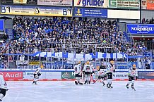 Eishockey, Herren, DEL, Saison 2023-2024, Playoffs Viertelfinale - Spiel 4, ERC Ingolstadt - Fischtown Pinguins , 24.03.2024