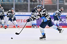 Eishockey, Herren, DEL, Saison 2024-2025, Vorbereitung, ERC Ingolstadt - Dresdner Eislöwen, 18.08.2024
