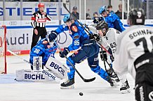 Eishockey, Herren, DEL, Saison 2025-2026, Spiel 16, ERC Ingolstadt - Kölner Haie, 31.10.2025