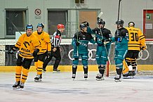 Eishockey, Herren, DEL, Saison 2026-2027, ERC Ingolstadt - HC Verva Litvinov - Steinbach Black Wings Linz, 22.08.2026