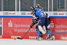 Eishockey, Frauen, DFEL, Saison 2023-2024, ERC Ingolstadt - Amsterdam Tigers, 06.01.2024