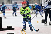 Eishockey, Herren, DEL, Saison 2023-2024, ERC Ingolstadt - Kids on Ice Day, 18.11.2023