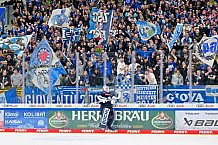 Eishockey, Herren, DEL, Saison 2024-2025, Spieltag 41, ERC Ingolstadt - Eisbären Berlin, 26.02.2025