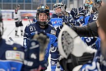 Eishockey, Frauen, DFEL, Saison 2023-2024, ERC Ingolstadt - Amsterdam Tigers, 06.01.2024