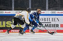 Eishockey, Frauen, DFEL, Saison 2024-2025, ERC Ingolstadt - Mad Dogs Mannheim, 23.11.2024