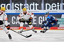 Eishockey, Herren, DEL, Saison 2025-2026, Spiel 10, ERC Ingolstadt - Löwen Frankfurt, 12.10.2025