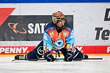 Eishockey, Frauen, DFEL, Saison 2024-2025, ERC Ingolstadt - EC Bergkamener Bären, 12.10.2024