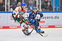 Eishockey, Herren, DEL, Saison 2024-2025, Spieltag 35, ERC Ingolstadt - Augsburger Panther, 10.01.2025