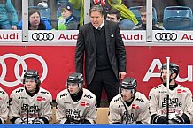 Eishockey, Herren, DEL, Saison 2023-2024, Spieltag 36, ERC Ingolstadt - Kölner Haie, 07.01.2024