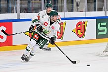Eishockey, Mens, CHL, Season 2023-2024, ERC Ingolstadt - Färjestad Karlstad, 02.09.2023