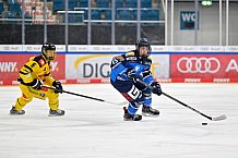Eishockey, U20, DNL, Saison 2024-2025, ERC Ingolstadt - Krefelder EV 81, 01.03.2025