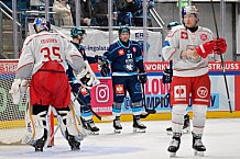 Hockey, Mens, CHL, Season 2025-2026, Regular Season, Round of 16, ERC Ingolstadt - EC Red Bull Salzburg, 12.11.2025