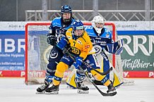 Eishockey, Frauen, DFEL, Saison 2025-2026, Testspiel, ERC Ingolstadt - HC Davos, 14.02.2026