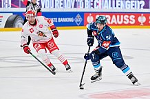 Hockey, Mens, CHL, Season 2025-2026, Regular Season, Game Day 6, ERC Ingolstadt - Odense Bulldogs, 15.10.2025