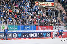 Eishockey, Herren, DEL, Saison 2023-2024, Spieltag 20, ERC Ingolstadt - Adler Mannheim, 19.11.2023