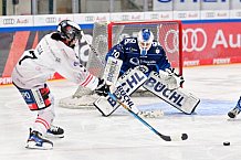 Eishockey, Frauen, DFEL, Saison 2024-2025, ERC Ingolstadt - ECDC Memmingen Indians, 16.11.2024