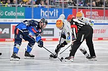 Eishockey, Herren, DEL, Saison 2023-2024, Spieltag 45, ERC Ingolstadt - Fischtown Pinguins, 27.02.2024