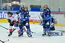 Eishockey, Frauen, DFEL, Saison 2024-2025, ERC Ingolstadt - HK Budapest Roster, 12.01.2025